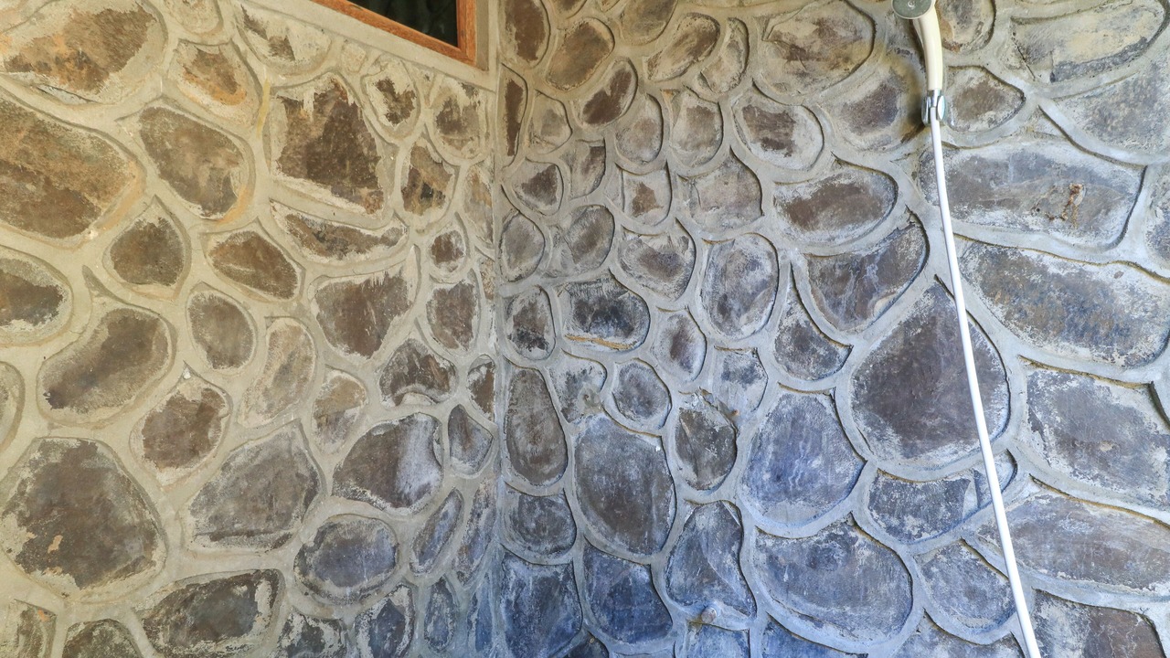 Photo of Bedroom in Bukti