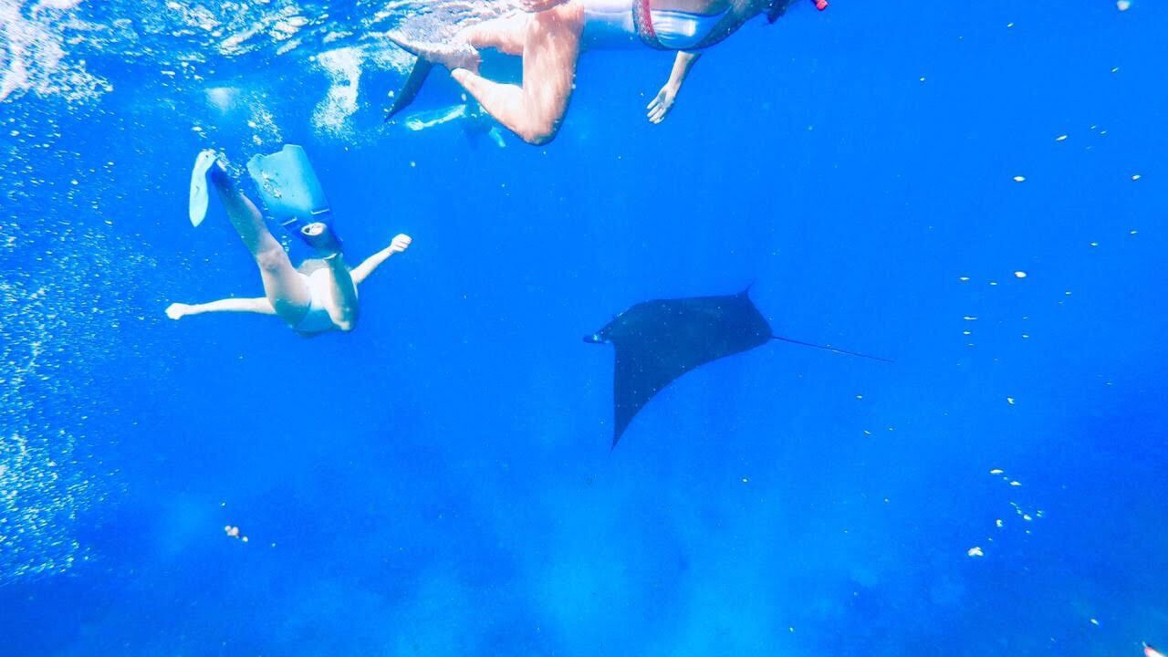 Photo of Others in Ceningan Island