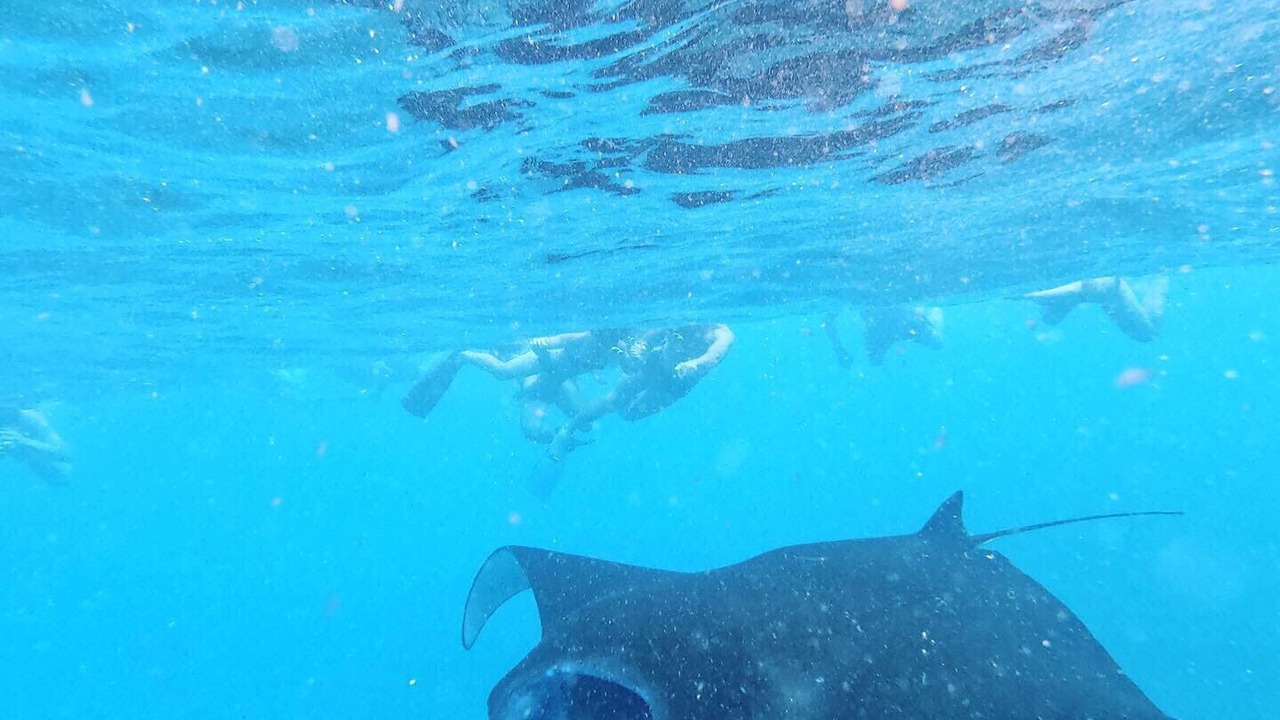 Photo of Others in Ceningan Island