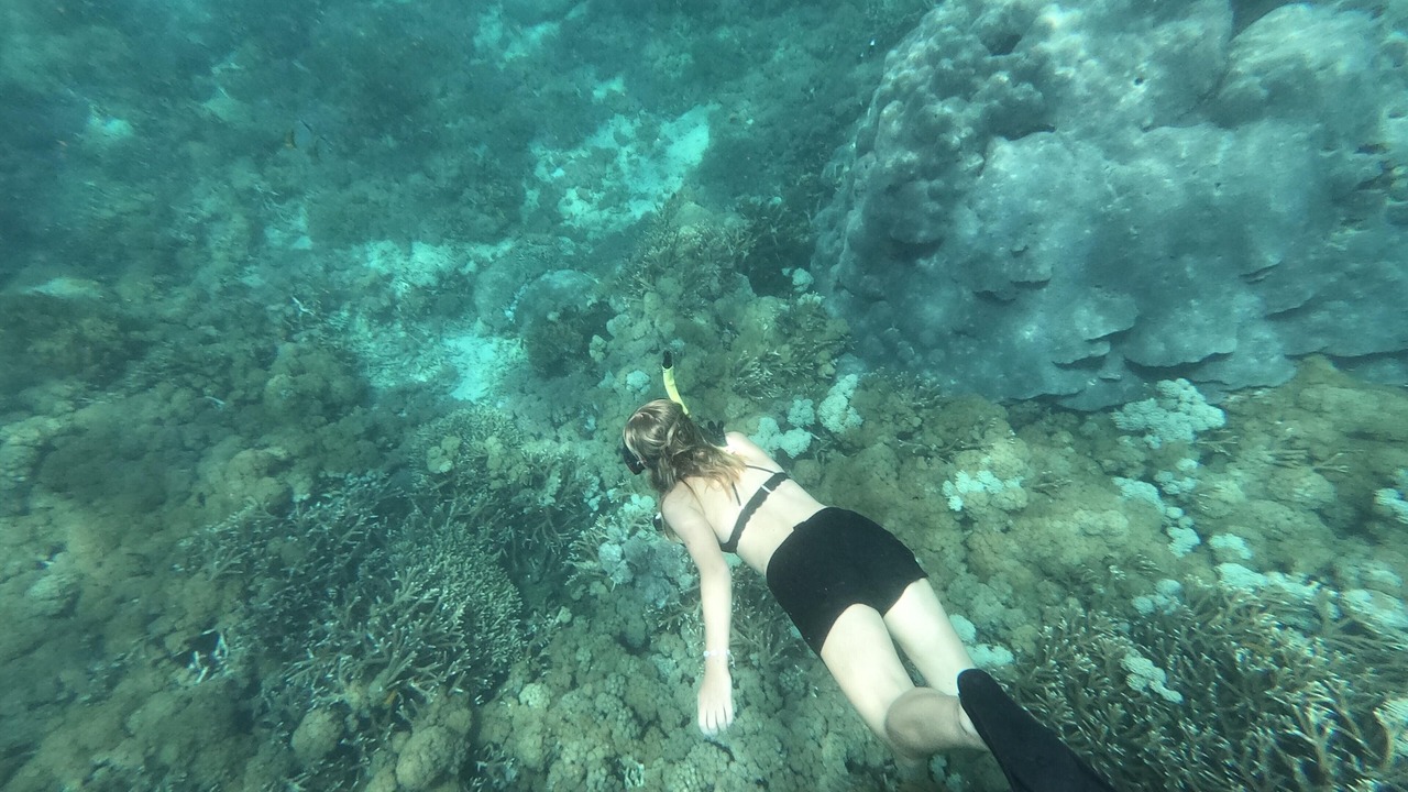 Photo of Others in Ceningan Island