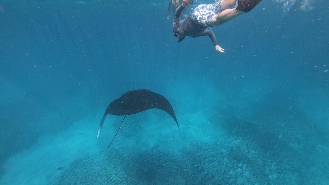 Photo of Others in Ceningan Island