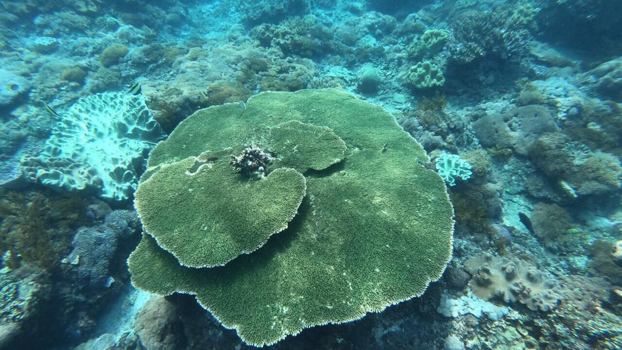 Photo of Outdoor in Ceningan Island