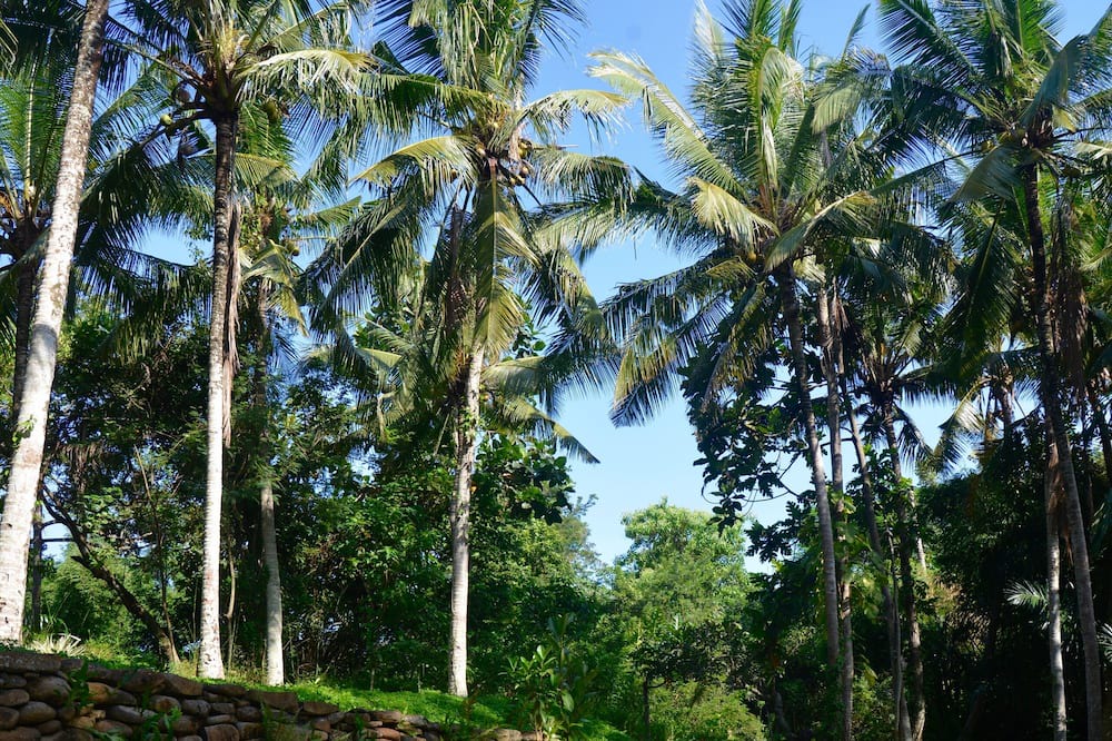 Photo of Outdoor in Mas