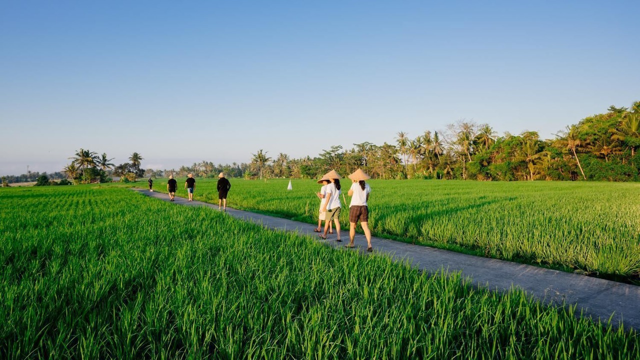 Photo of Outdoor in Tabanan