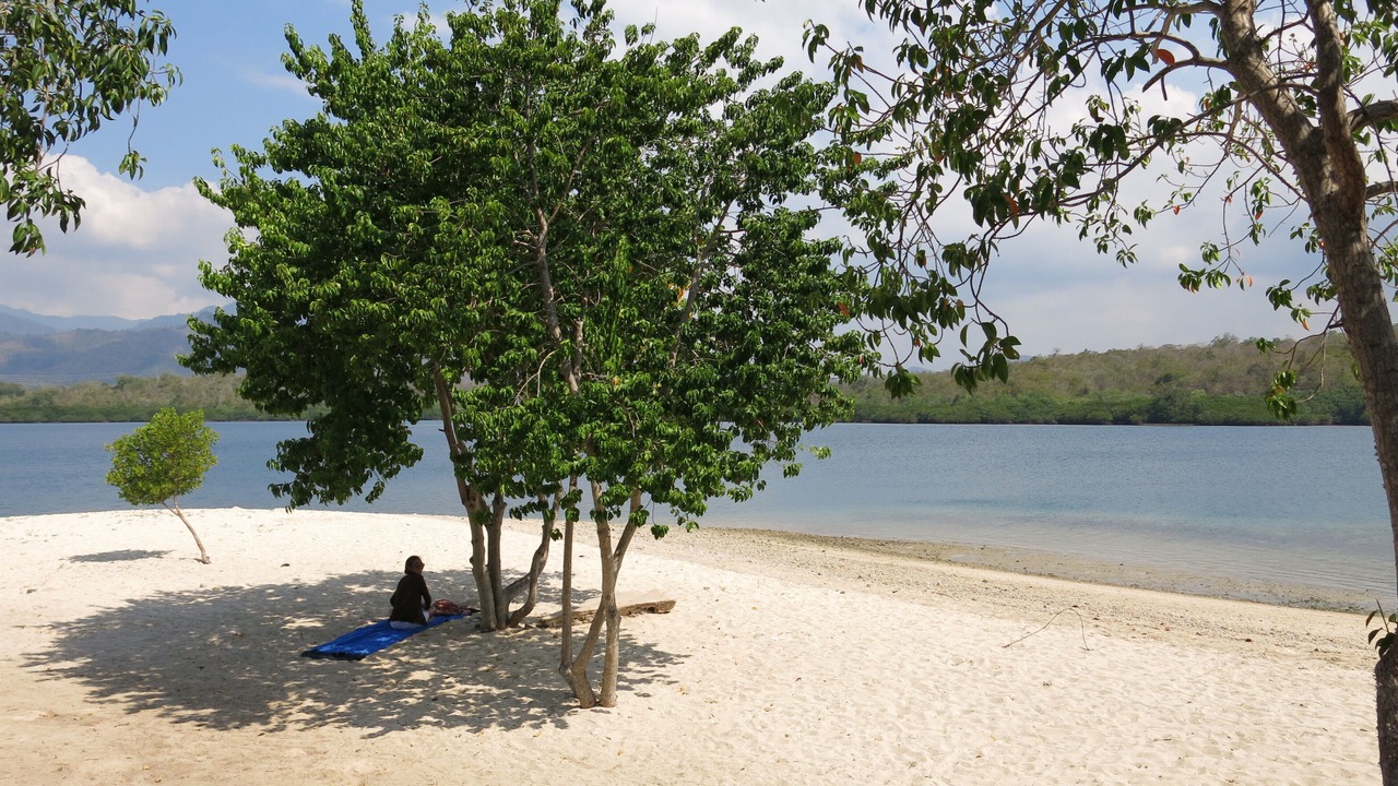 Photo of Others in Pejarakan