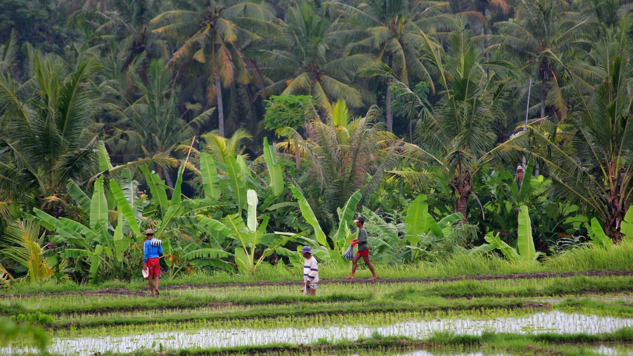 Photo of Others in Mas