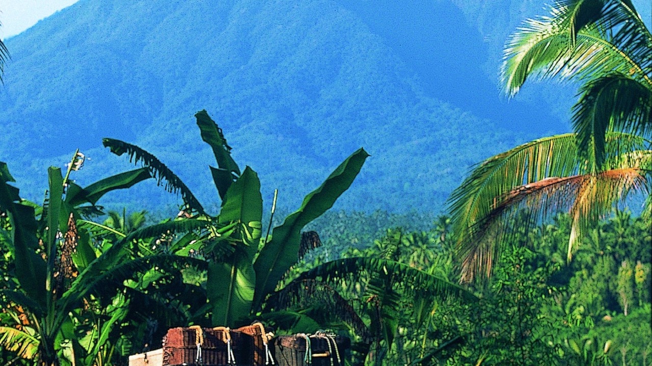 Photo of Others in Payangan