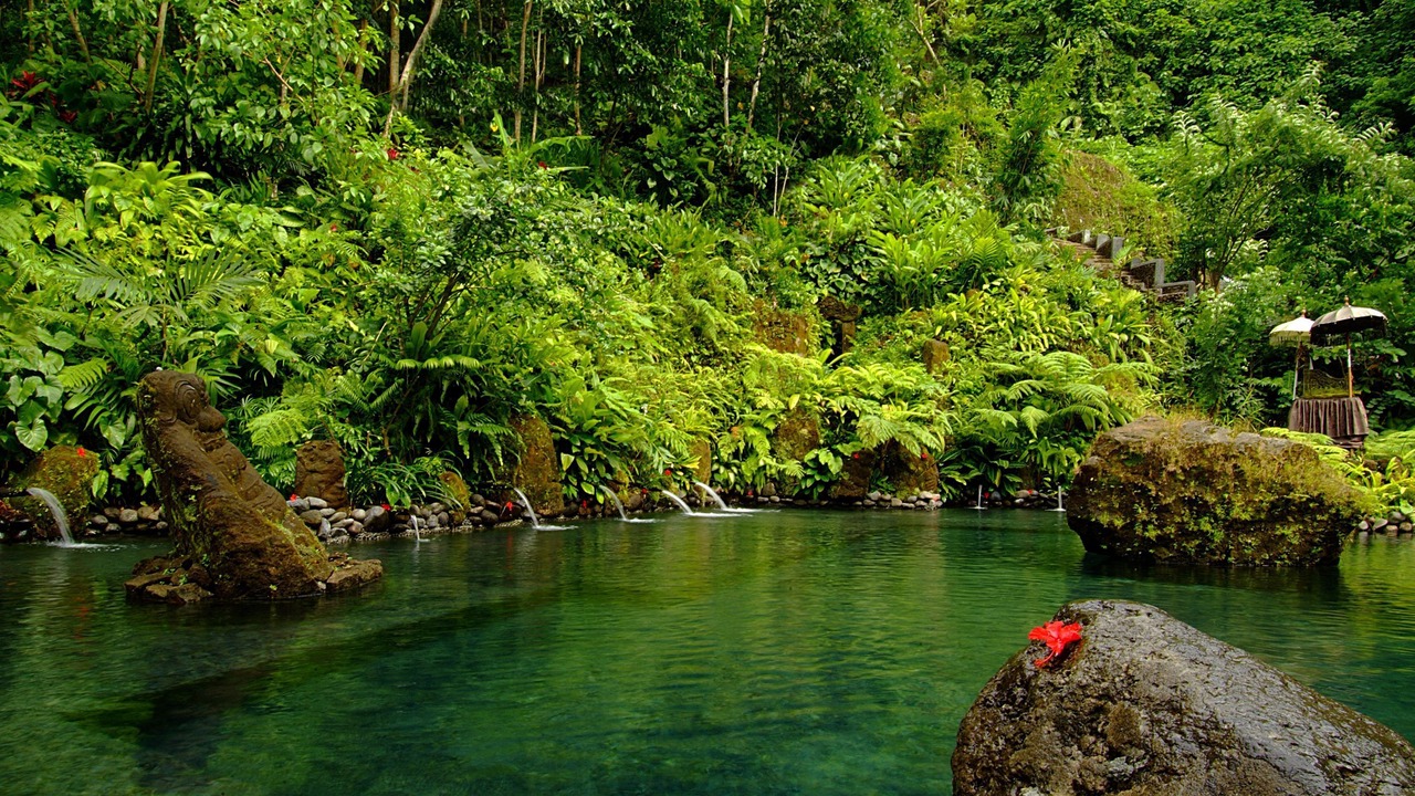 Photo of Outdoor in Ubud
