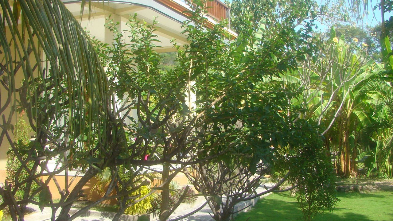 Photo of Outdoor in Amed
