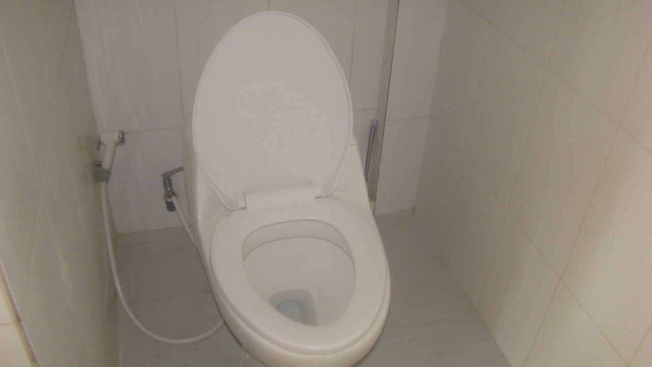 Photo of Bathroom in Amed