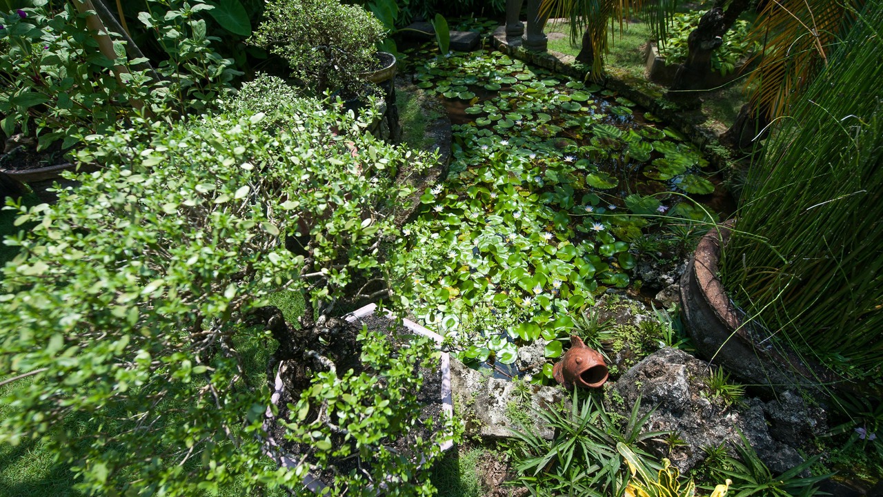 Photo of Outdoor in Tanjungbenoa