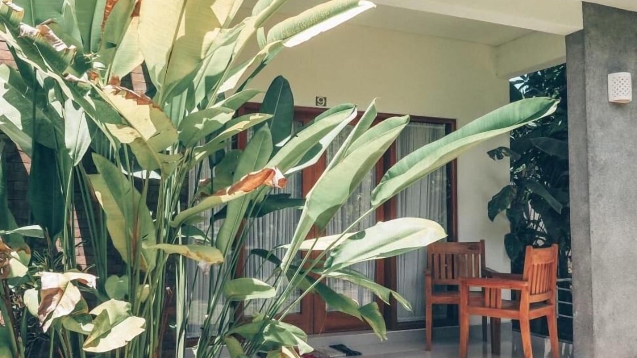 Photo of Outdoor in Kutuh