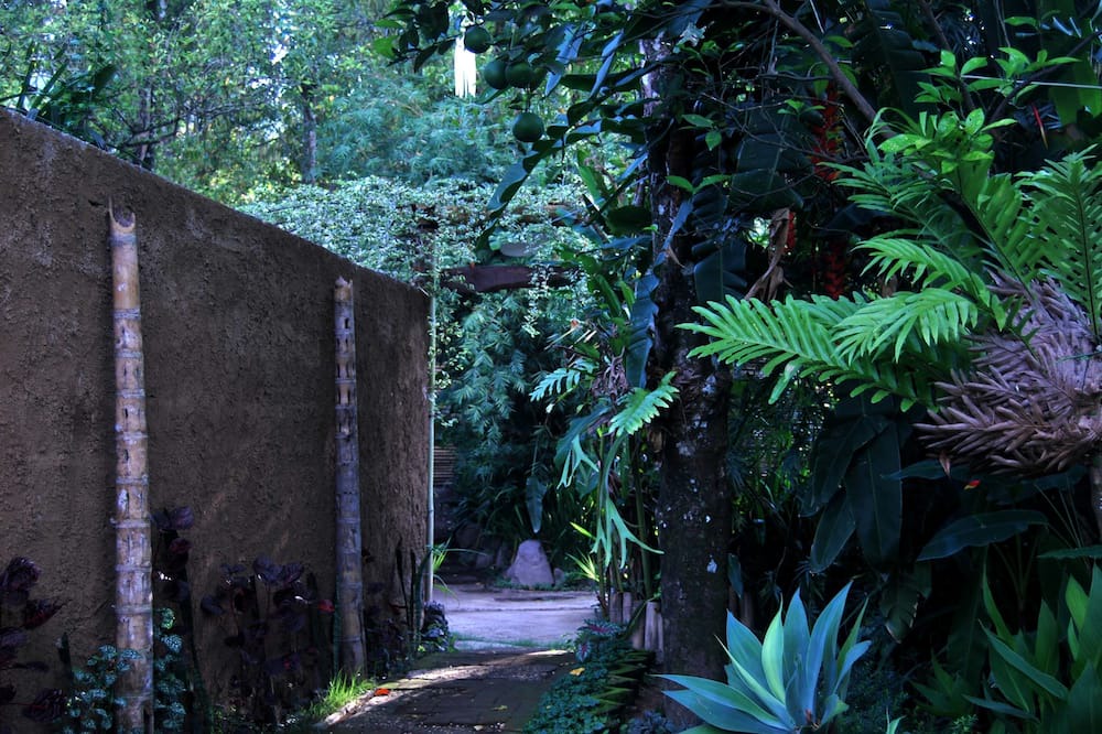Photo of Outdoor in Munduk