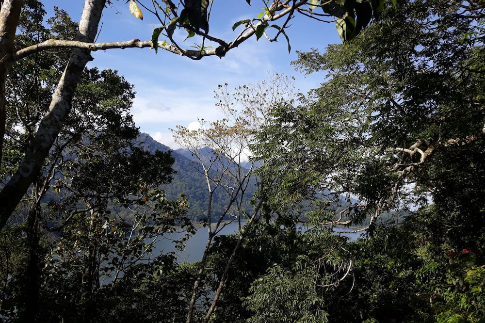 Photo of Outdoor in Munduk