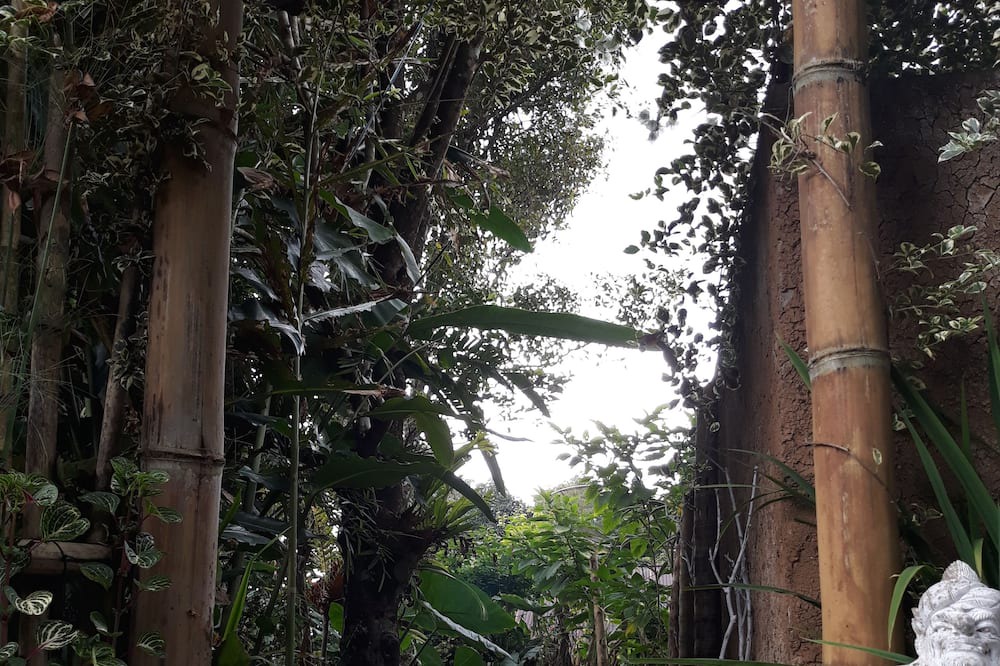 Photo of Outdoor in Munduk