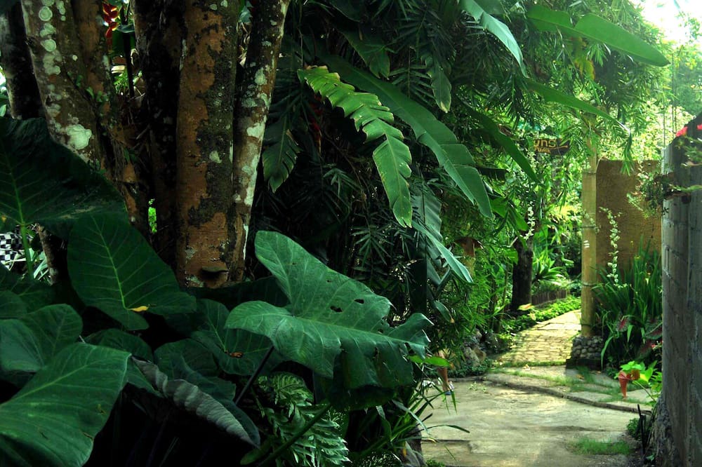 Photo of Outdoor in Munduk