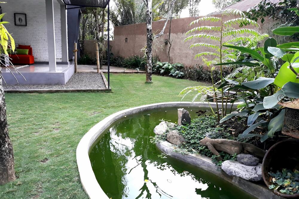Photo of Outdoor in Munduk