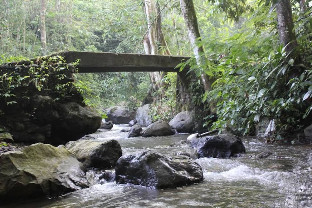 Photo of Outdoor in Munduk