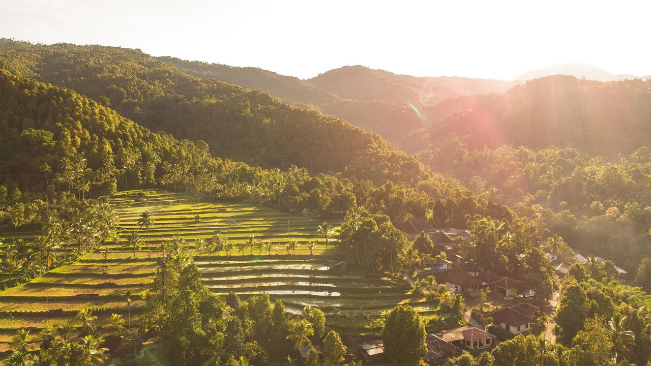 Photo of Outdoor in Munduk