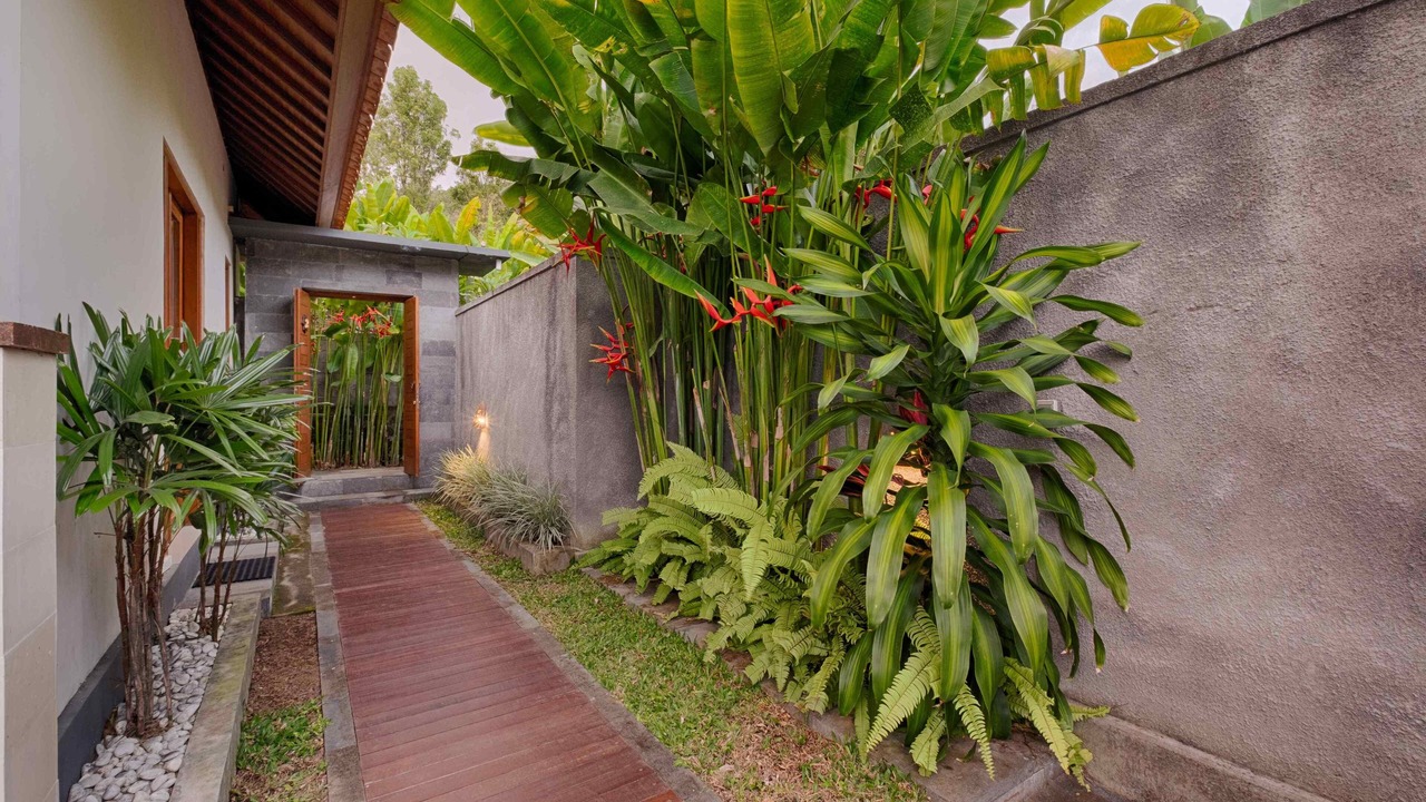 Photo of Outdoor in Munduk