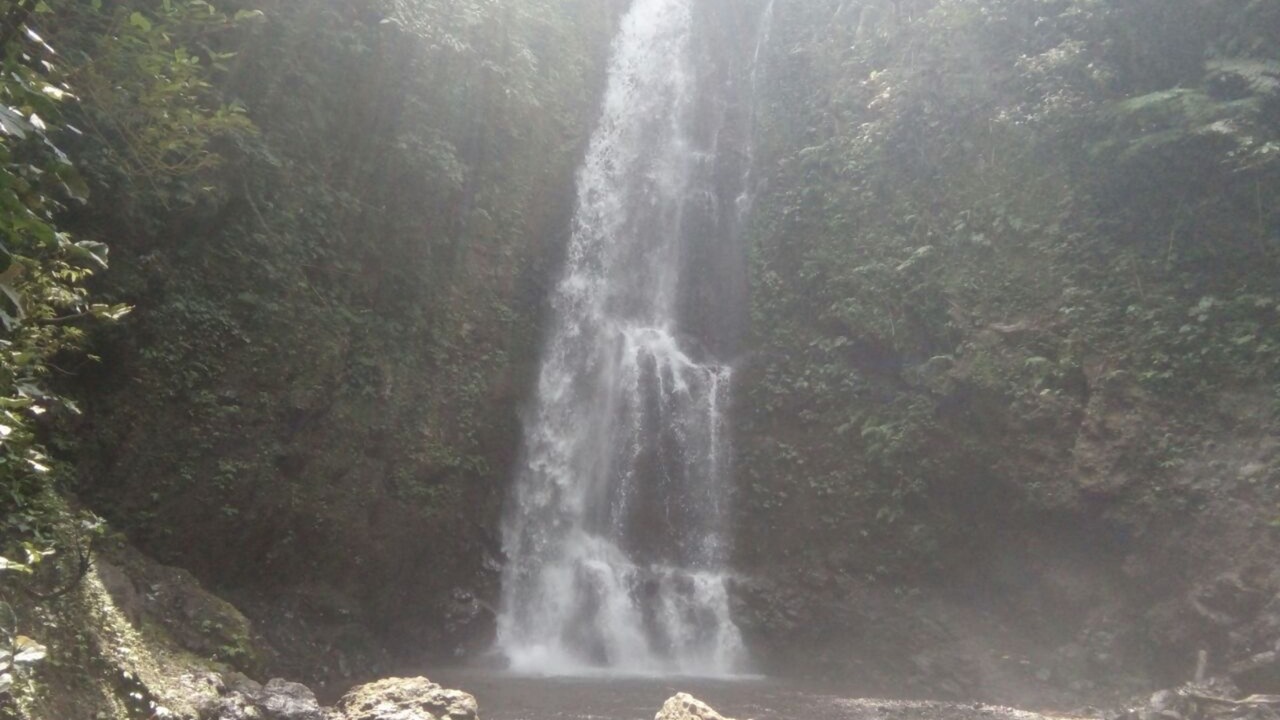 Photo of Others in Munduk