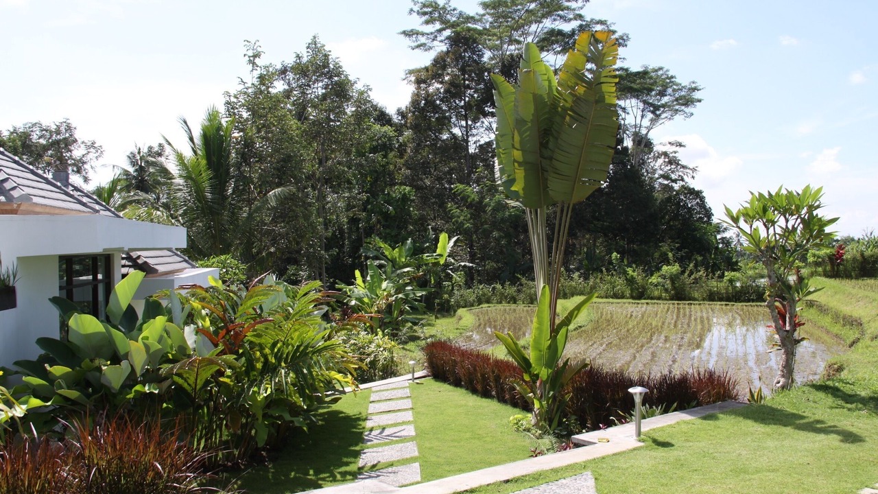 Photo of Outdoor in Melayang