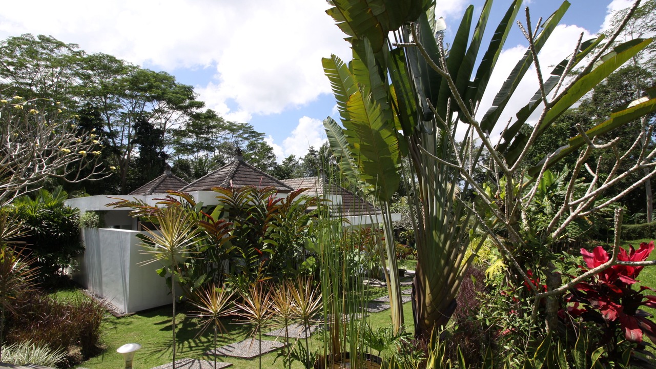 Photo of Outdoor in Melayang