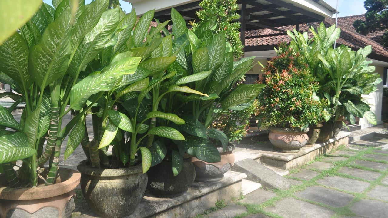 Photo of Bedroom in Beraban