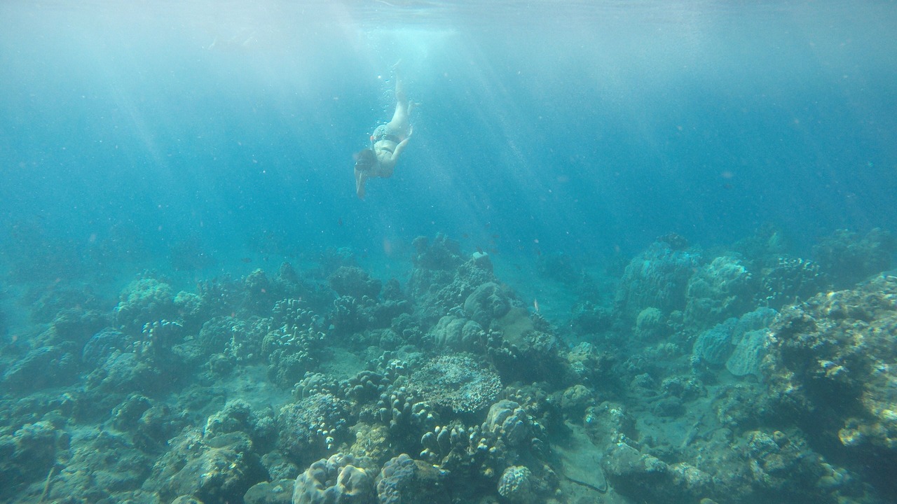 Photo of Others in Purwakerti