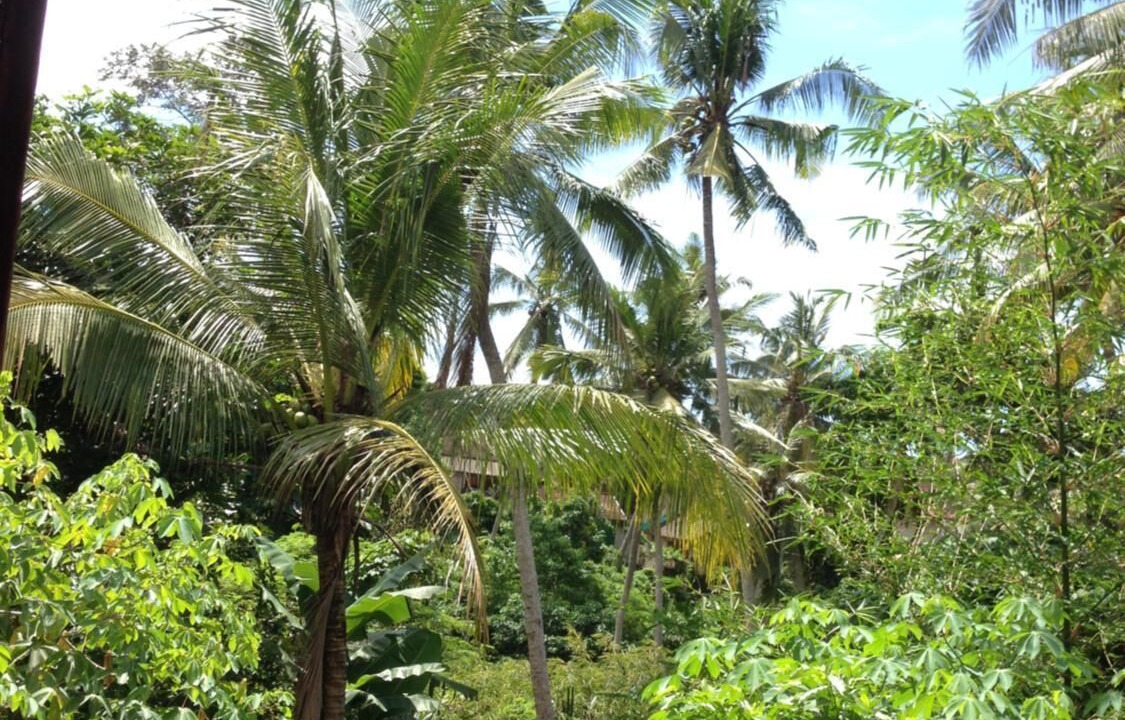 Photo of Outdoor in Mas
