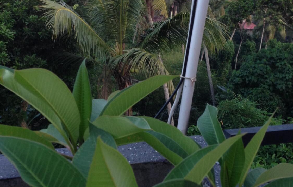 Photo of Outdoor in Mas