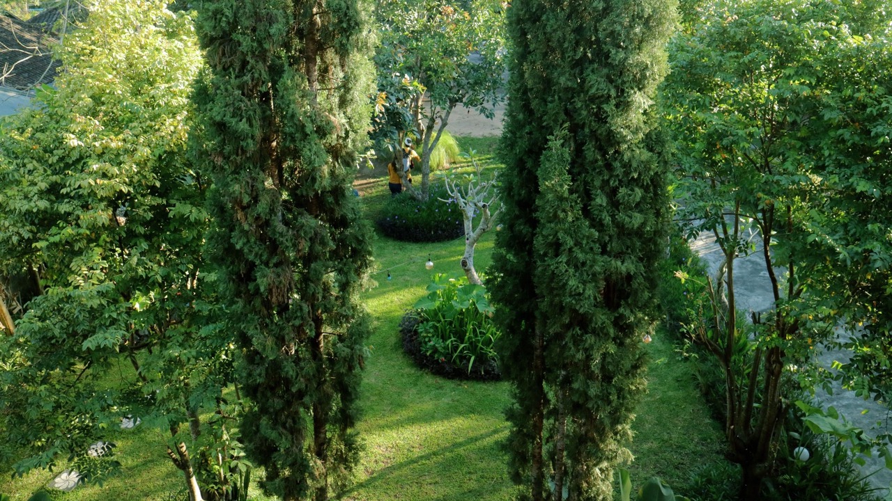Photo of Outdoor in Kintamani