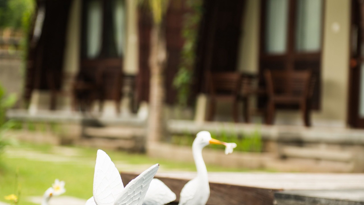 Photo of Outdoor in Penida Island