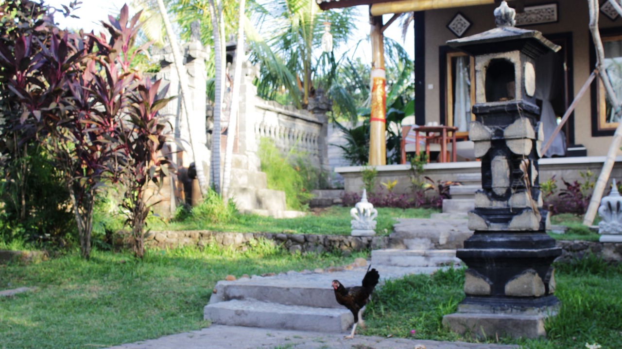 Photo of Outdoor in Pejarakan