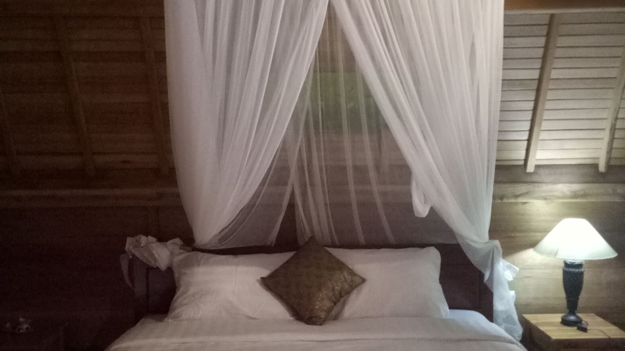 Photo of Bedroom in Tejakula