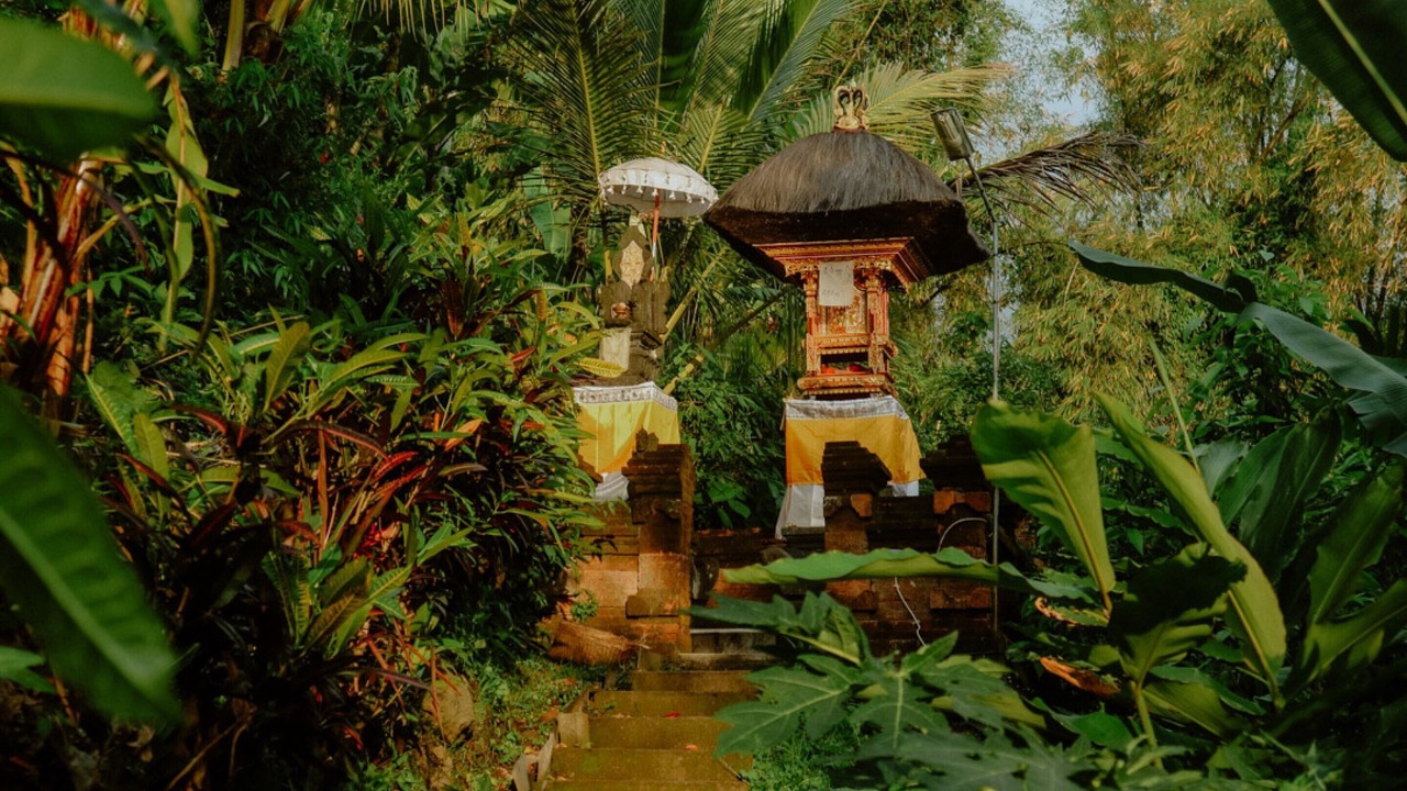 Photo of Outdoor in Munduk