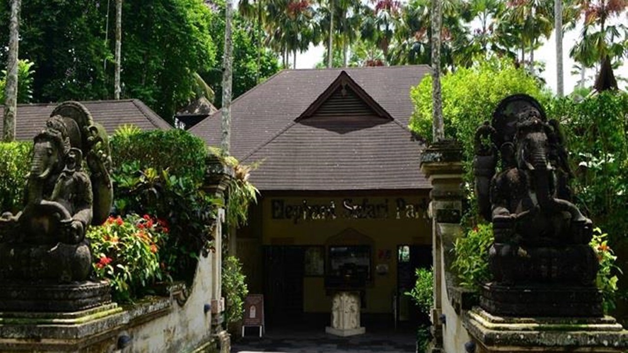 Photo of Others in Taro
