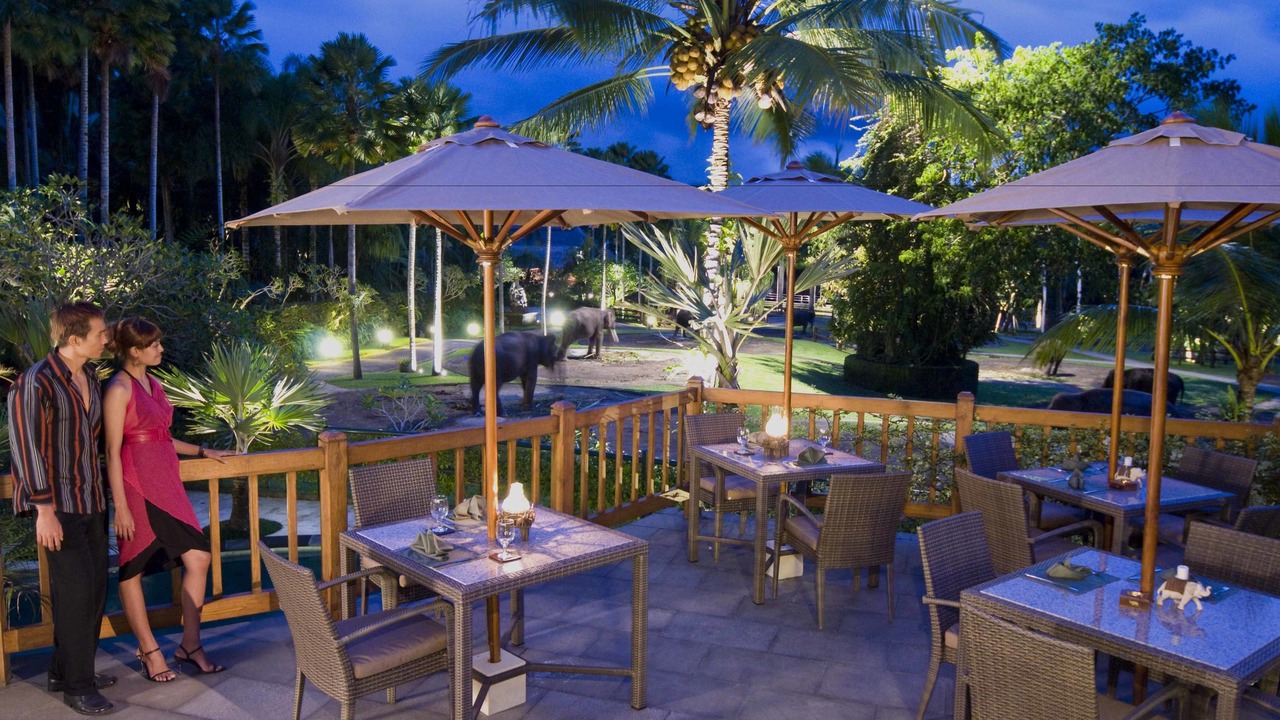Photo of Outdoor in Taro