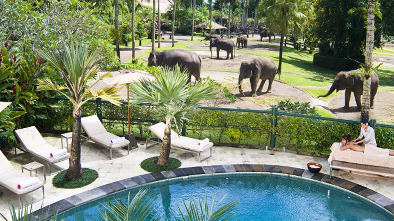 Photo of Outdoor in Taro