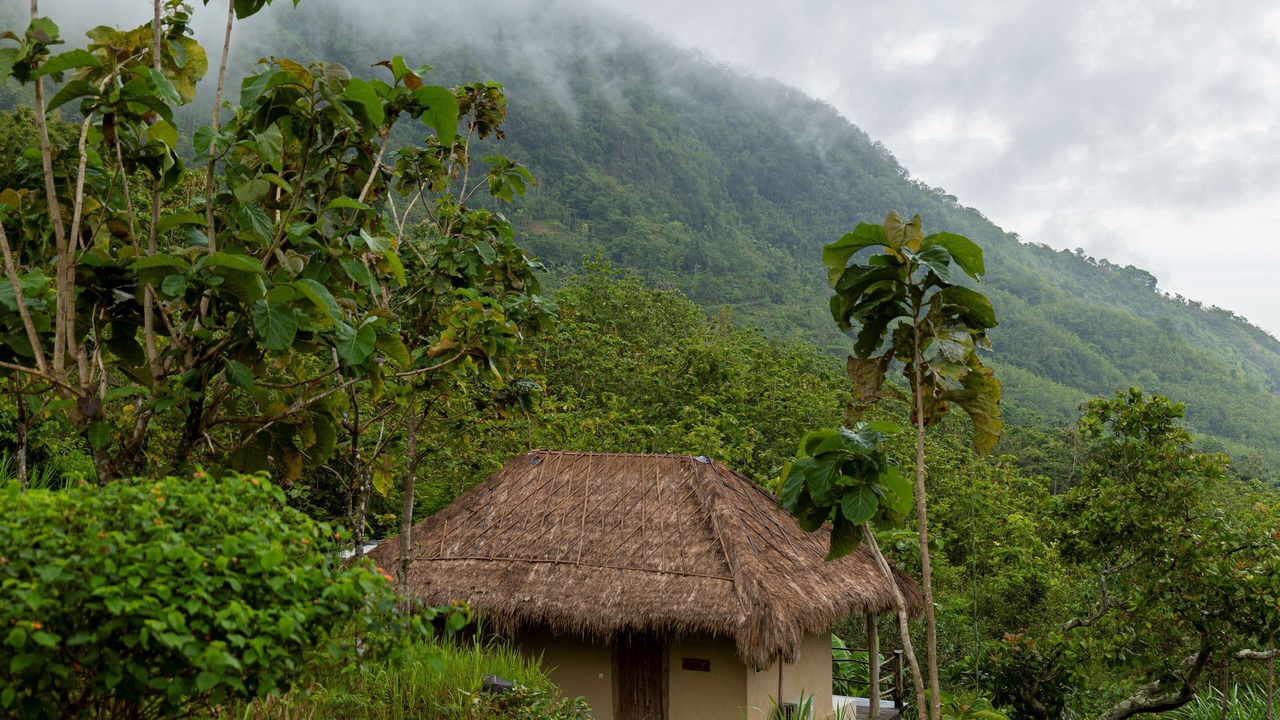 Photo of Bedroom in Bunutan