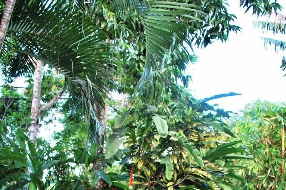 Photo of Outdoor in Legian City-Centre
