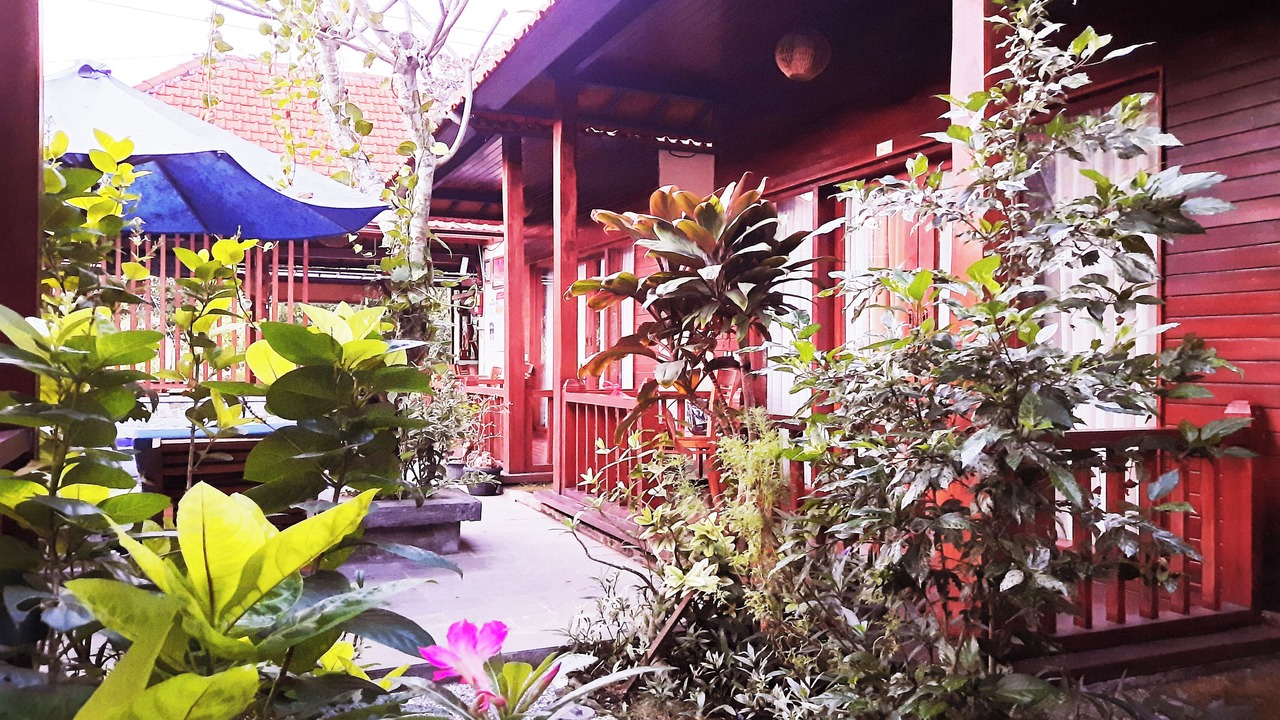 Photo of Outdoor in Penida Island
