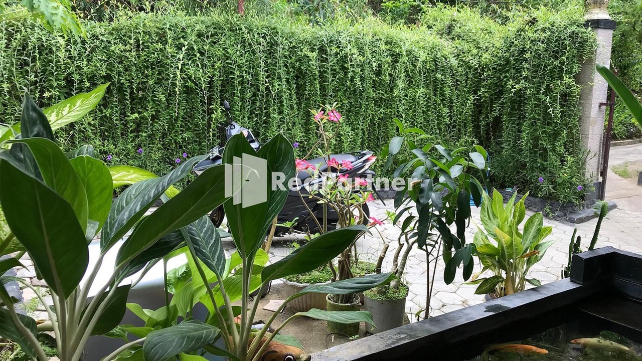 Photo of Outdoor in Penida Island
