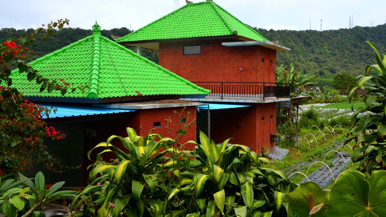 Photo of Bedroom in Bedugul