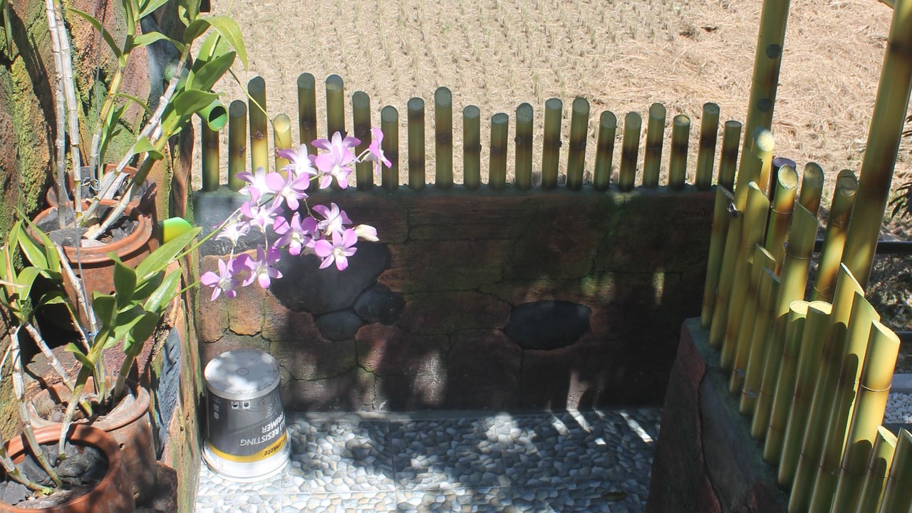 Photo of Outdoor in Sawan