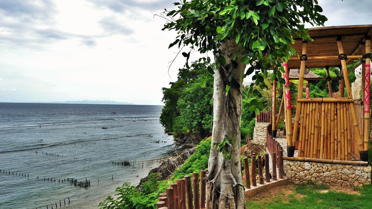 Photo of Others in Penida Island