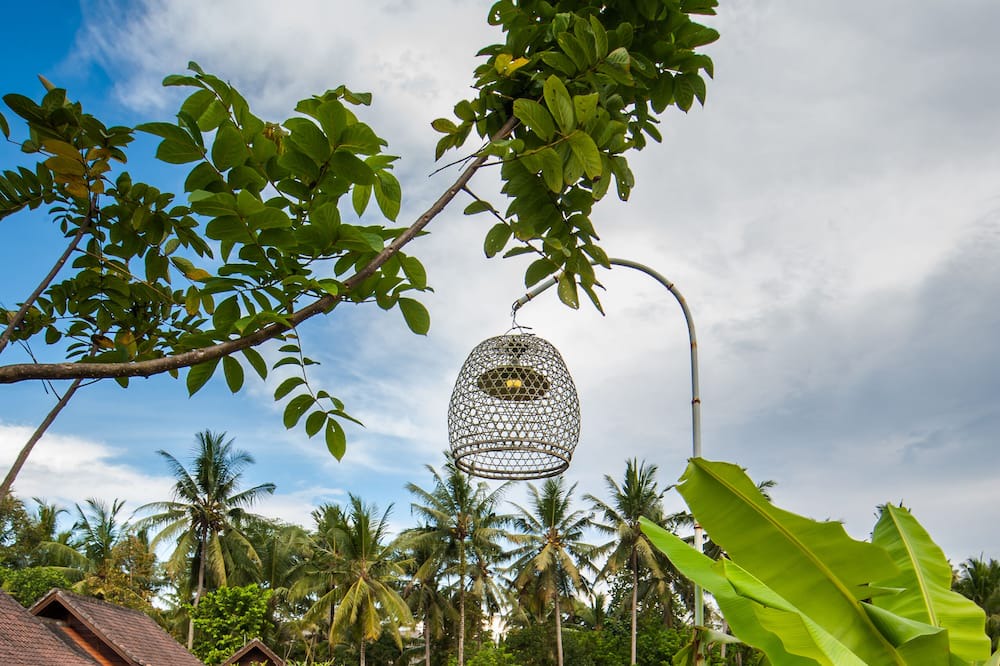 Photo of Others in Kutuh Kaja