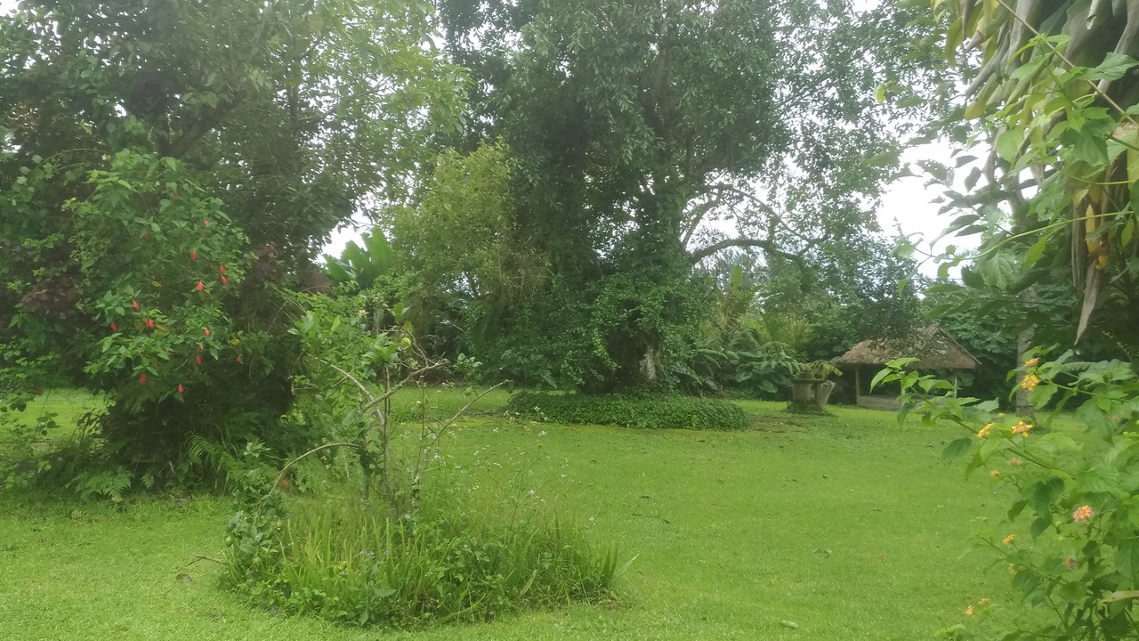 Photo of Outdoor in Kintamani