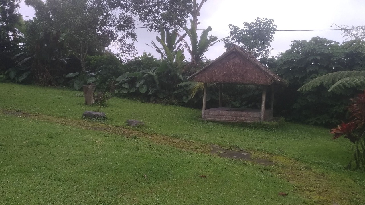 Photo of Outdoor in Kintamani