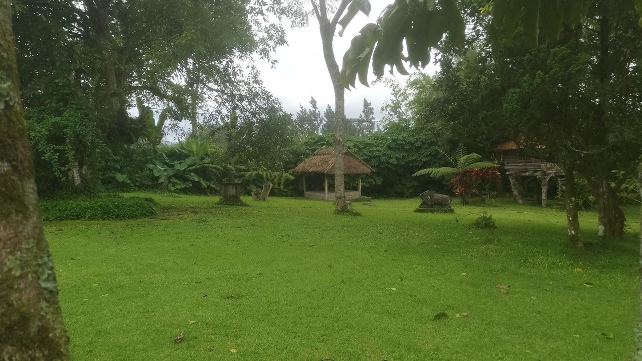 Photo of Outdoor in Kintamani